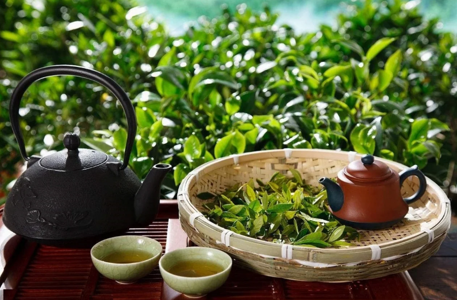 Как заваривать китайский чай дома? Способы и техники