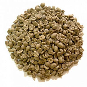 Зеленый кофе в зернах сорт Арабика Колумбия Supremo, scr 17/18, washed